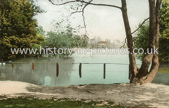 Eagle Pond, Snaresbrook, London. c.1905